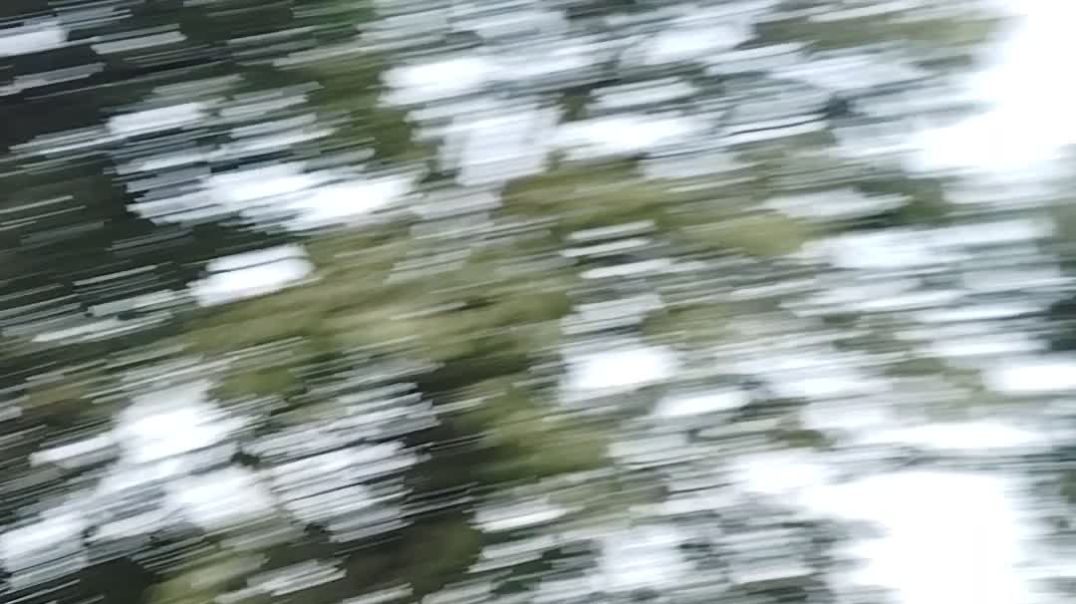 ⁣VID 20251217 150636