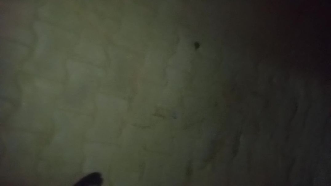 ⁣Dosto me bakchodi