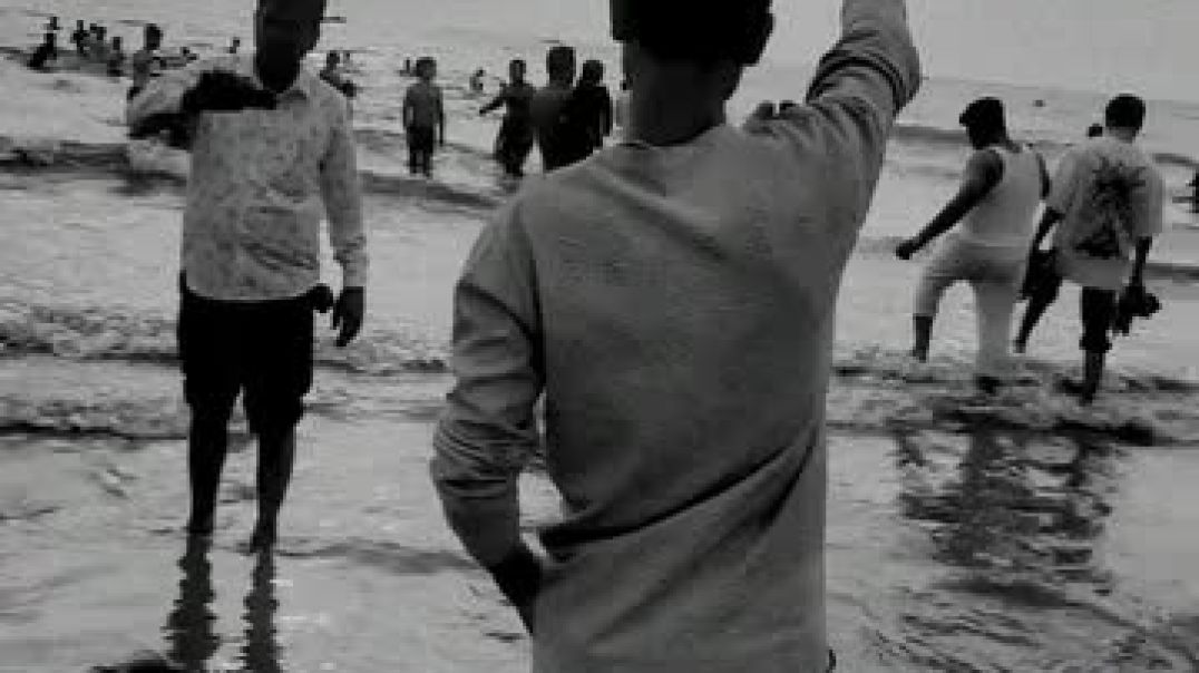 FB_VID_4057343568850878008