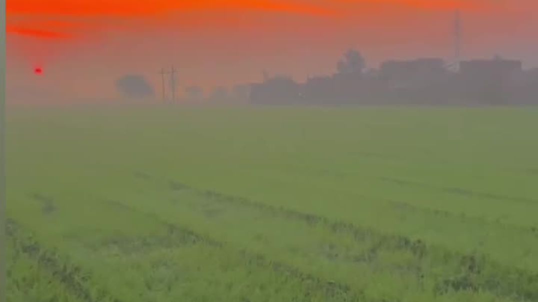 VID_20251203_064326_361