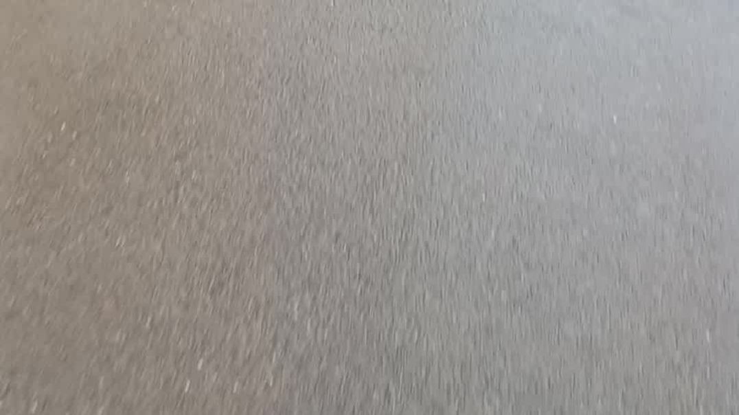 ⁣BEAUTIFUL MOMENTS With BIRDS