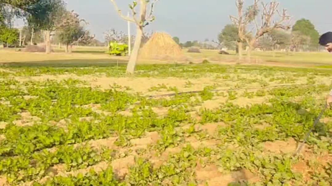 VID_20251130_023048_580