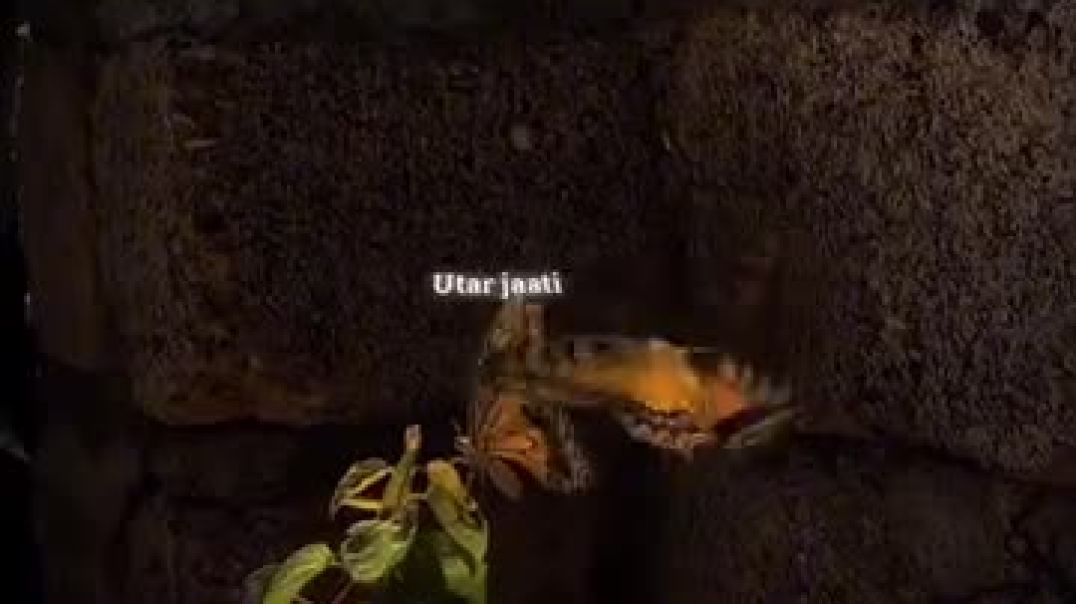 Kahin_toh_beeten_Kal_ki_jade_dil_mein_hi_utar_jaati_hai