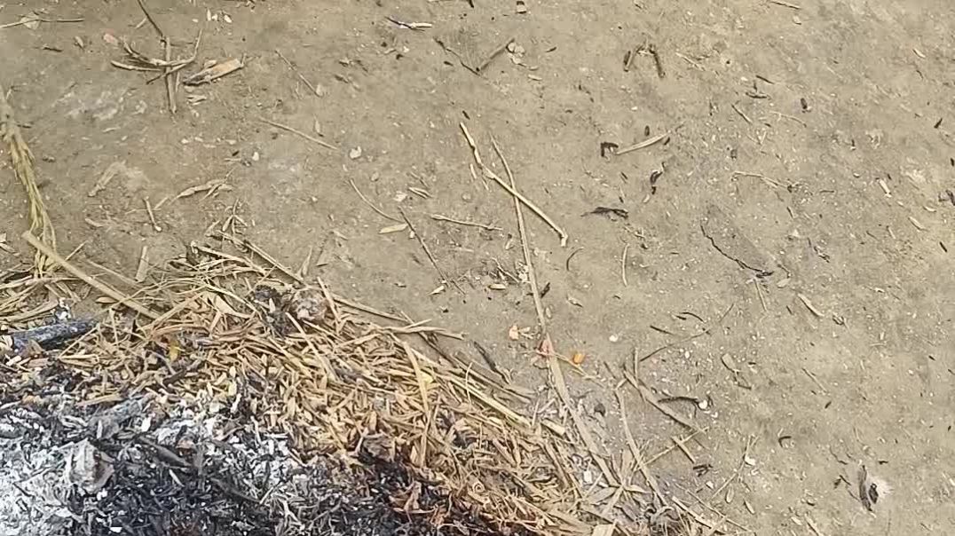 video_20251219_101158