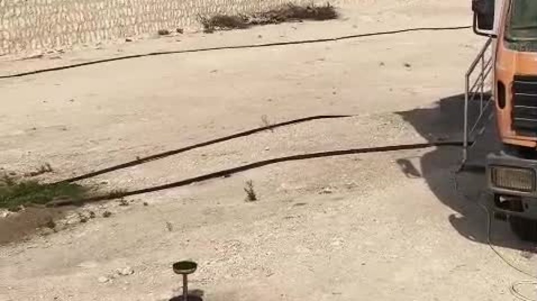 ⁣Yah video Doha Qatar ke Jungle Ki Hai