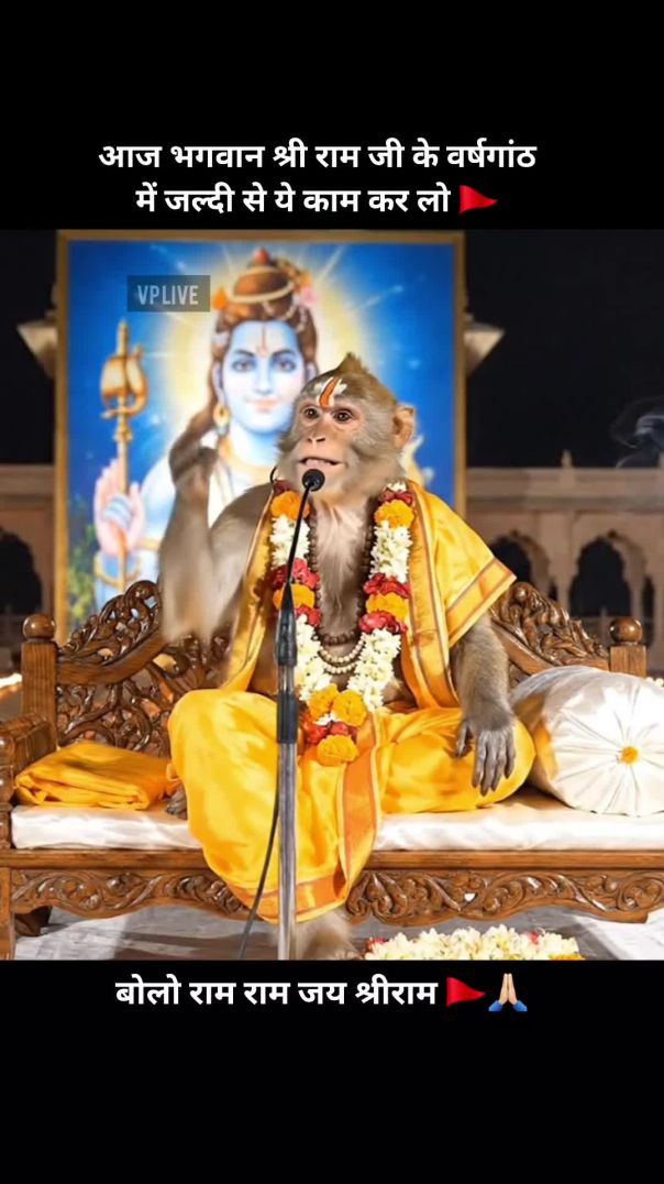 Ai monkey Gyaan 🐒