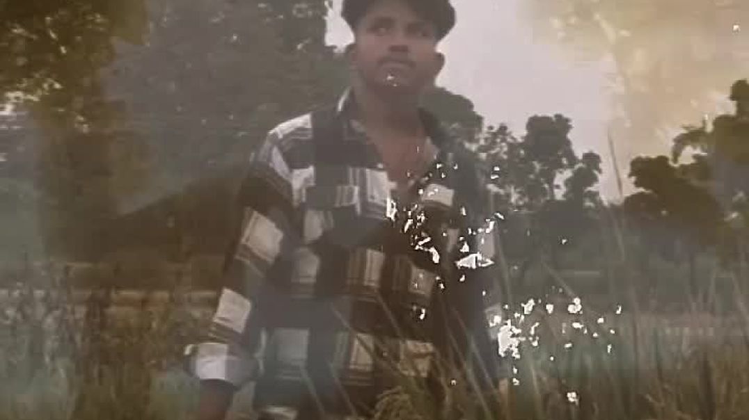 lv_7578531883131178257_20251215121959