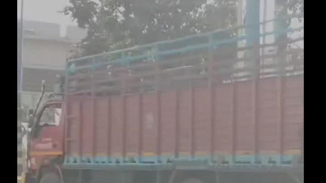 VID_57330503_210909_363