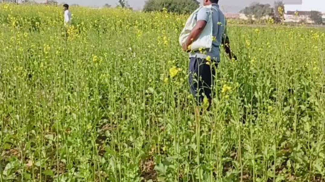 video_20251130_100501