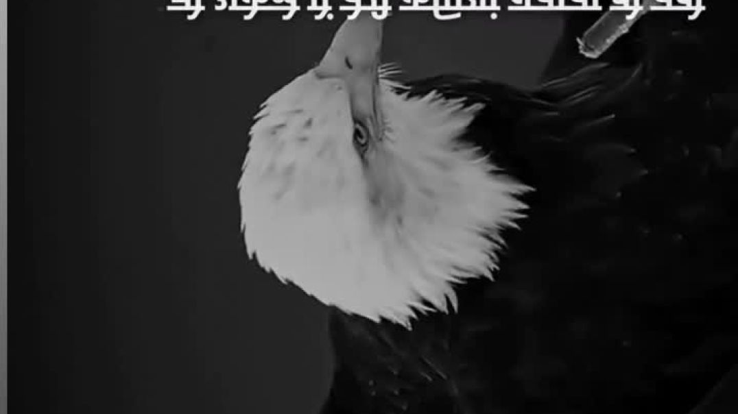 VID_20251214_223012_230