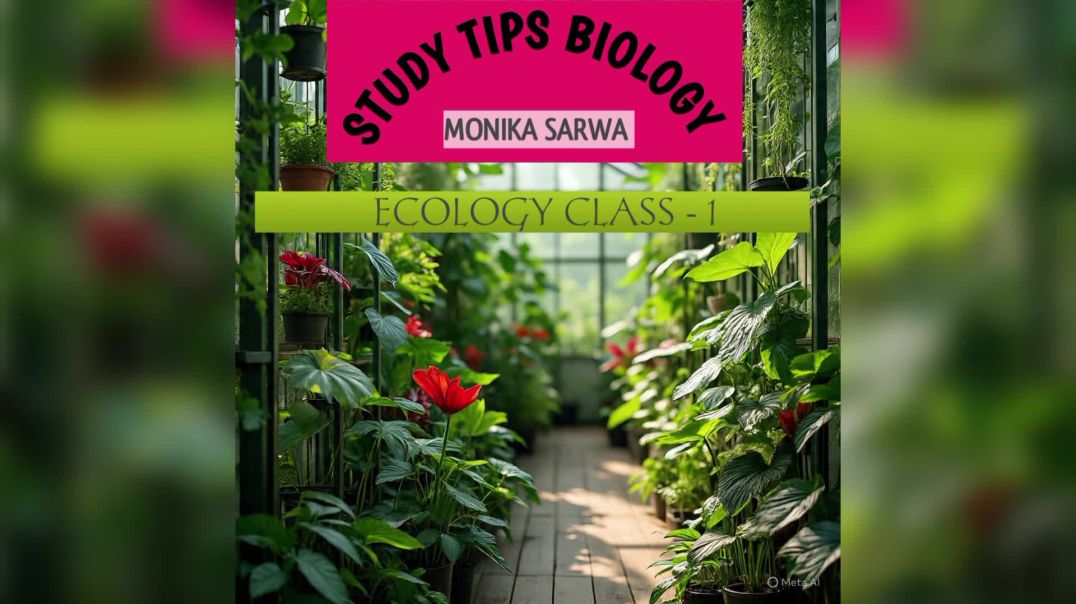 video_20251116_174318_edit