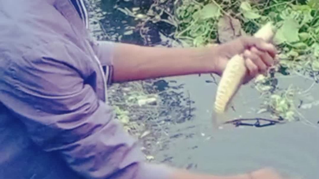 InShot_20251205_214646500