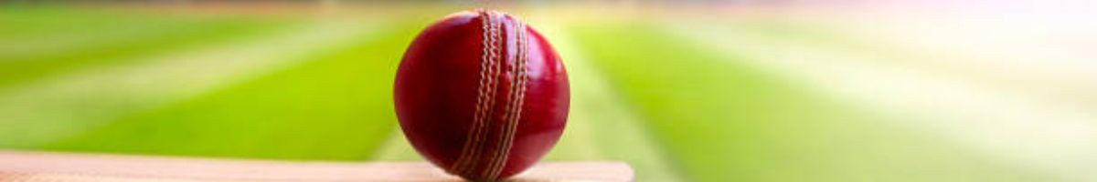 Thenewcricketjunction