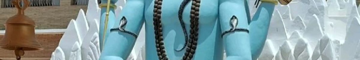 110238092079705925805 