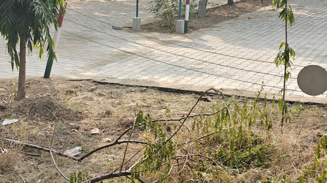 ⁣Facebook 4226522917607044(720P_HD)