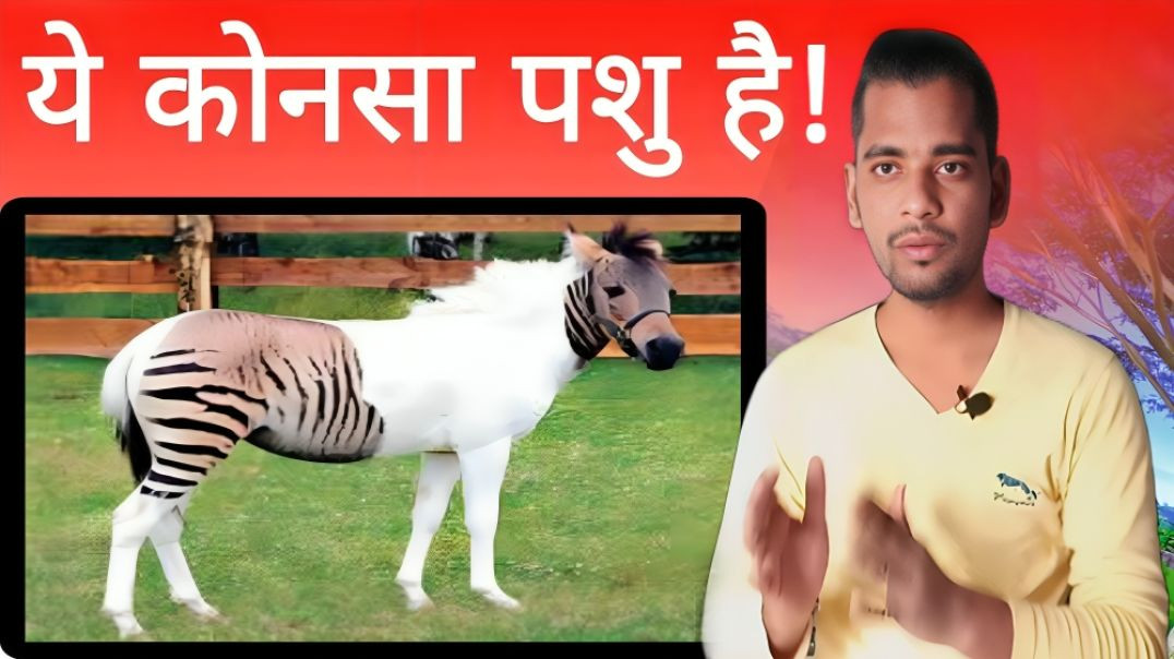 ⁣ये कोनसा पशु है | Animal | Janwar | Horse | Khachchhar | Donkey | AC Prashant
