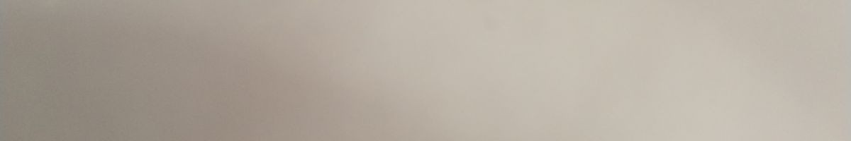 Naresh Maanju Bishnoi 