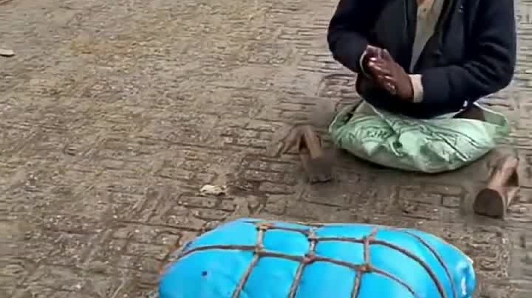 माता वैष्णै देवी की यात्रा विना पैरो के करने वाले भक्त की  अटूट आस्था  #shorts #vaishnodevi #vaishno