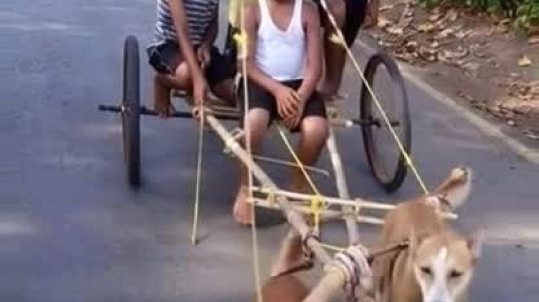 ⁣Bachpan ka pyar khel khilaune ka#