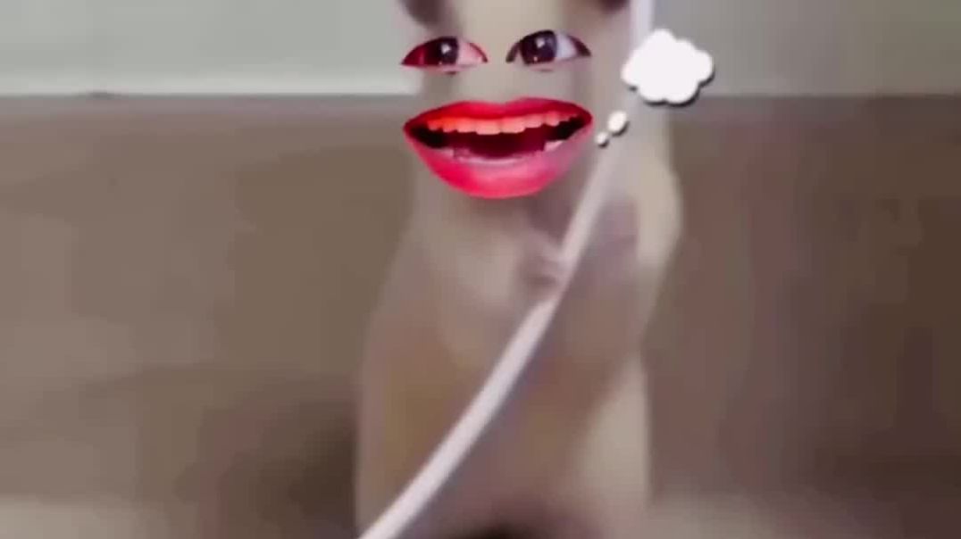 ⁣chuha_comedy_video_bundli__PUSHPENDRA_LODHI_COMEDY___Semra_Lodhi_Comedy_(1080p)