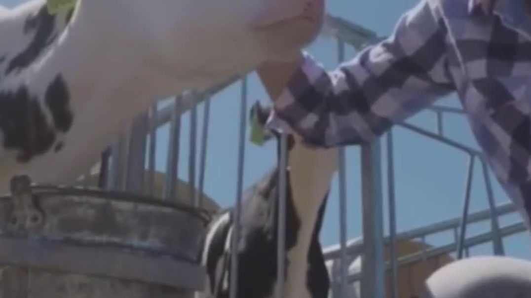 December_3,_2025(1080p)