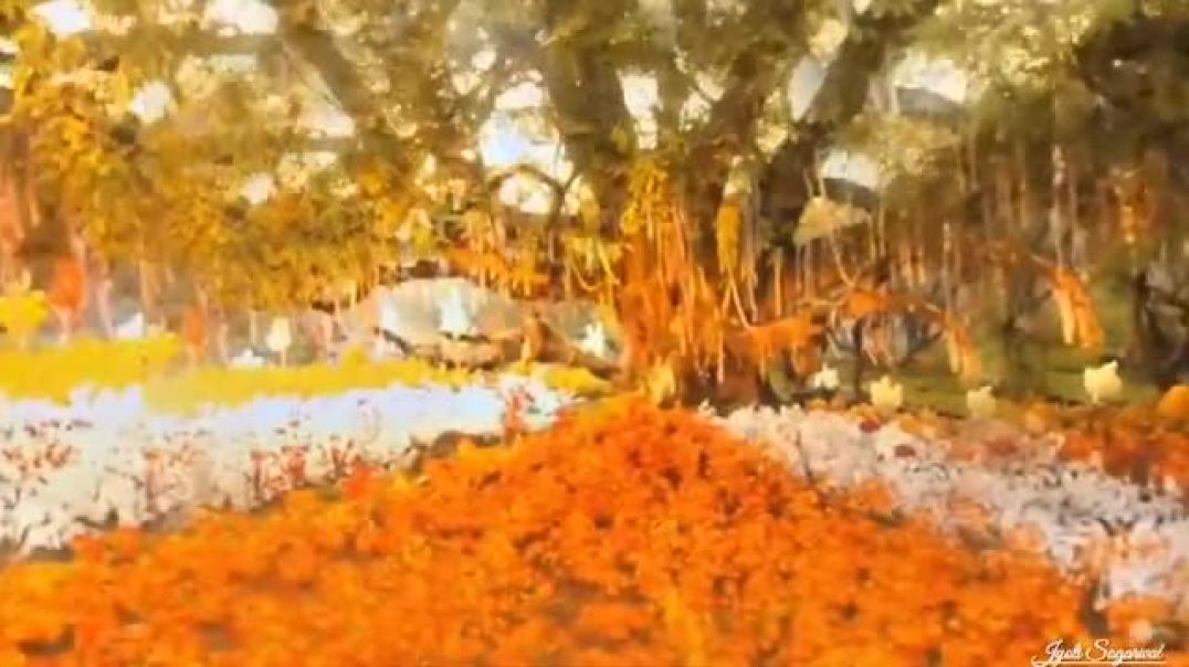 Teri_Kat_Jayegi_Badha_Tu_Japle_Radha_Full_Song_Video___Radha_Krishna_Status_Video___%23radhakrishna(