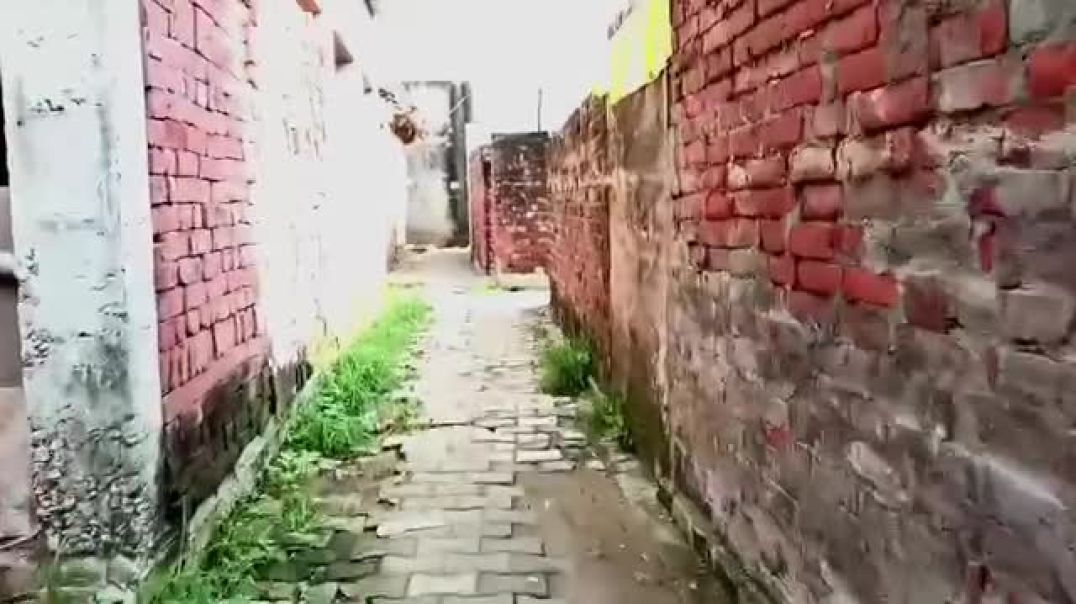 ⁣Daily vlogs 🤗 village gaav