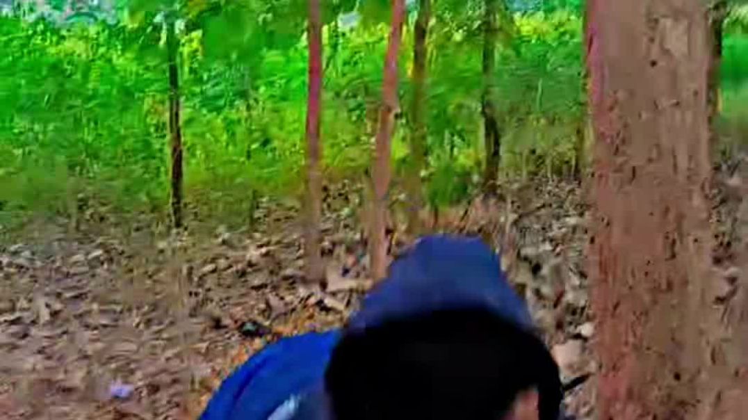 VID_20251220_031000_228