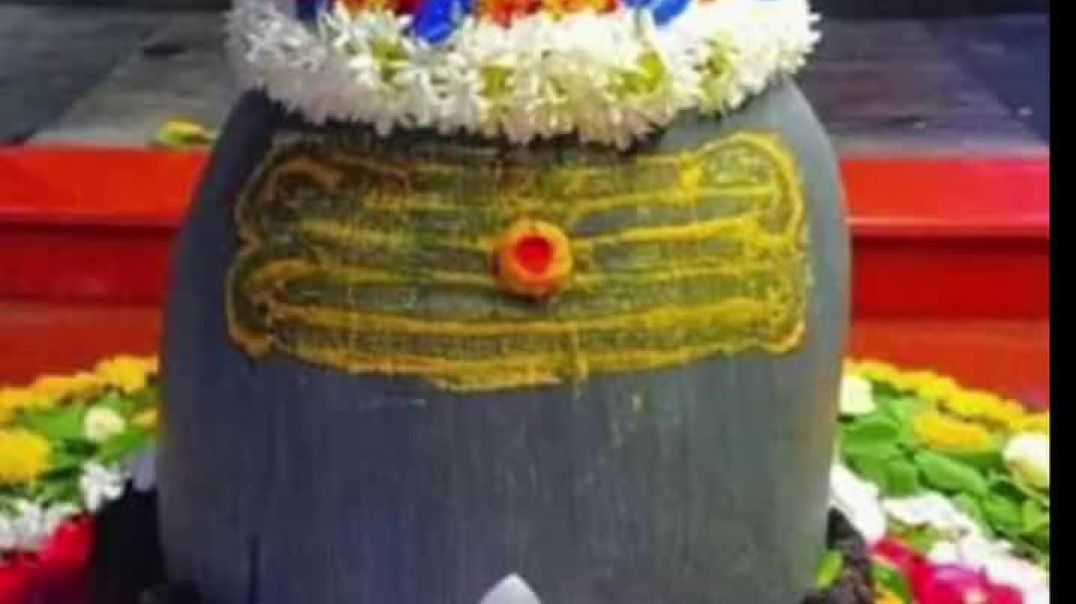 ⁣Har har Mahadev 🔱🌹🌿🙏(MP4)