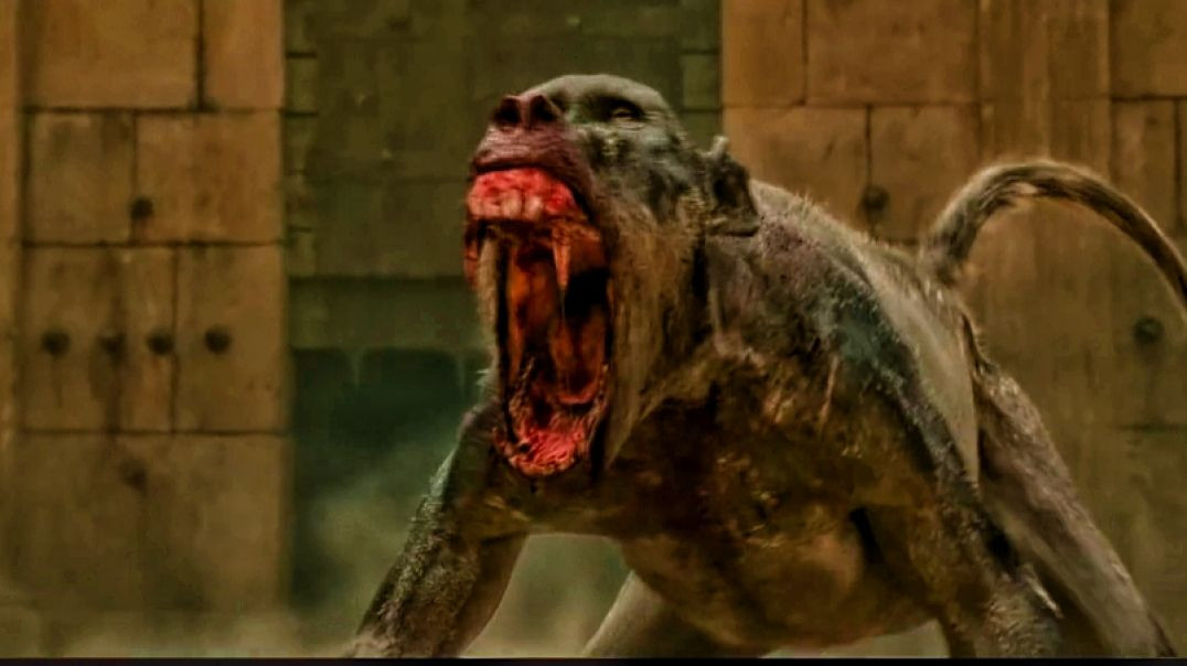 ⁣Gladiator 2 Movie