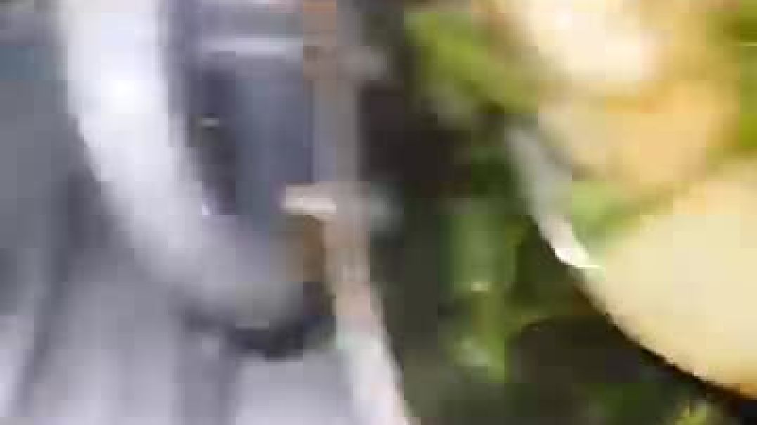 ⁣Best way of serving food By Zakir Khan