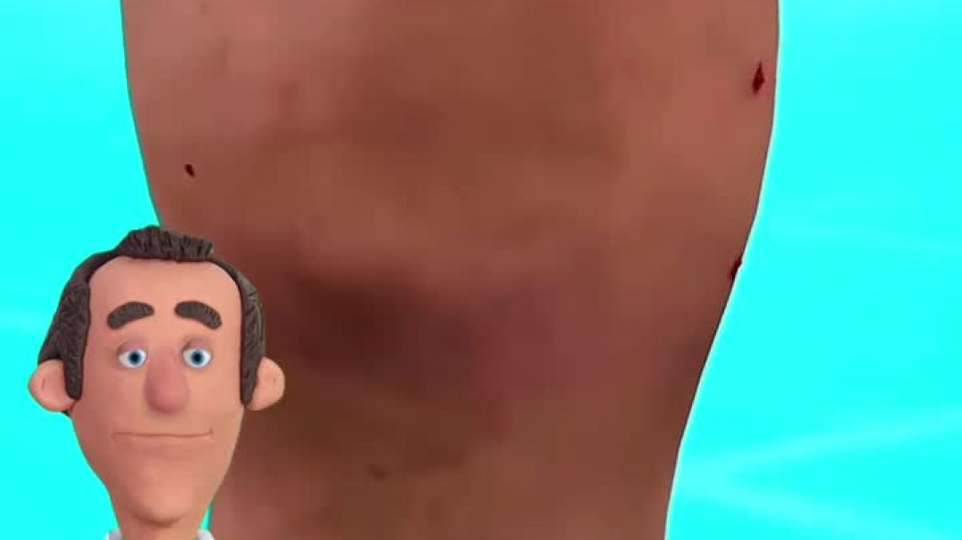 ⁣Follow me _This reel is here to educate you and for fun purposes