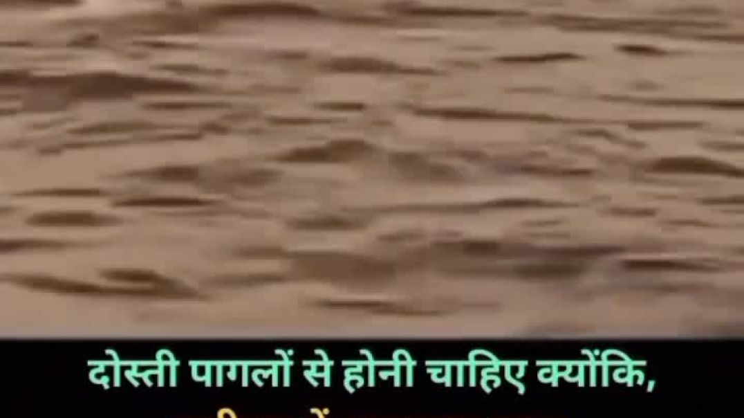 #🥰👀✨❤️𝓶𝔂______𝓵𝓲𝓯𝓮💕ــہہہـ٨ـــ٨ــــــہہـ٨ـــــــــــــــــــــــــــــــ🐼