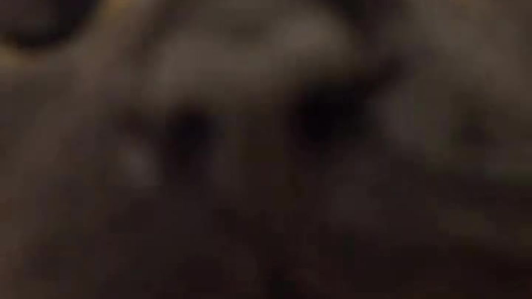 AQMZZsaxMfaZIm9sfE-LAHNVmh9FynlYQPkiOxKQ2VLZCC6n3_JARuBjIHECL1VCcmVp3uO8SQbxQbP_1QIogYoAnUCwhgO7raWh