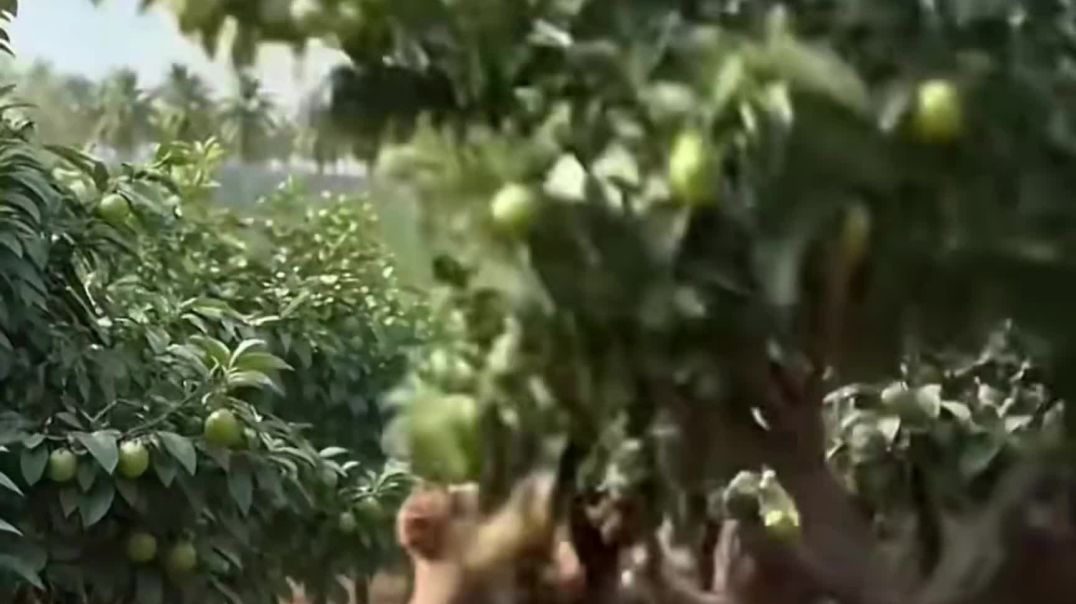 ⁣Kisan aur Hiran | #ai #farmer #short #ai #farmer #short #moonhindianimation #papaya किसान और हिरण