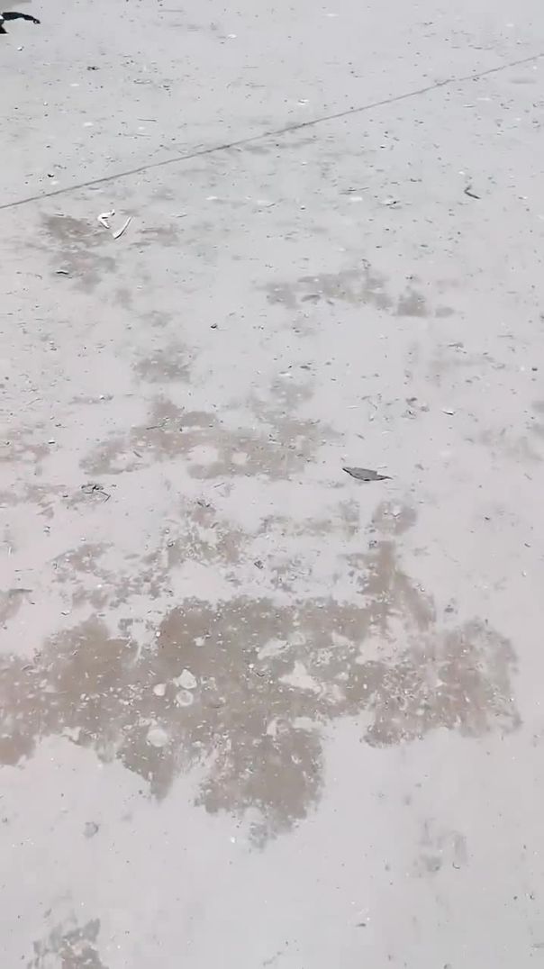 Har Har Shambhu 🙏🙏 #harharmahadev #mahadev