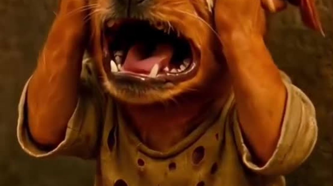 ⁣Watch How This Dog Looks at Him…” #ManAndDog​ #BestFriends​ #UnbreakableBond​ #DogLove​ #Loyalty​ #P