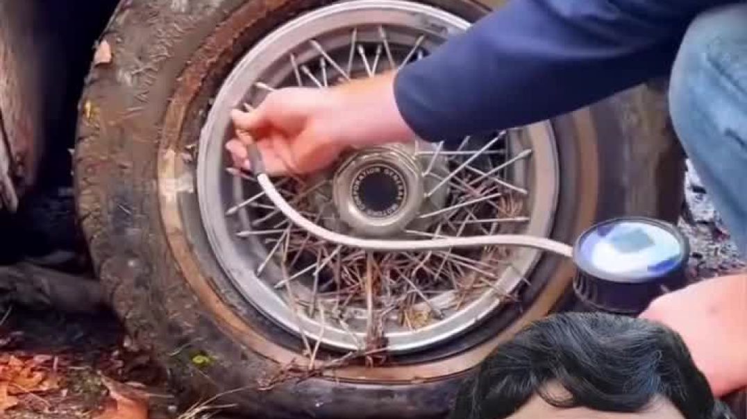 Jungle_me_garage_😂