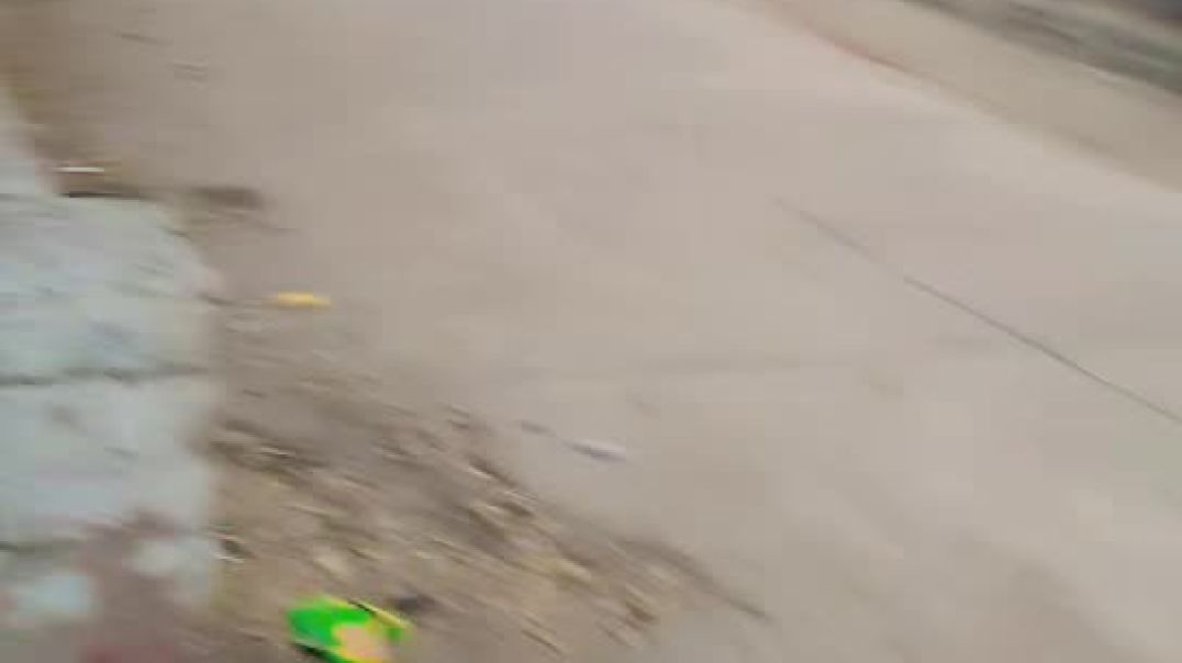 ⁣cute puppy। safe animal || प्यार से पिल्ले सेफ एनिमल