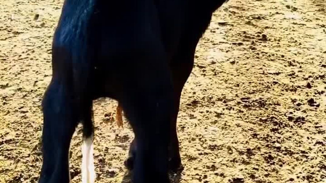 ⁣Ajj hi hamre new thar ki opnig