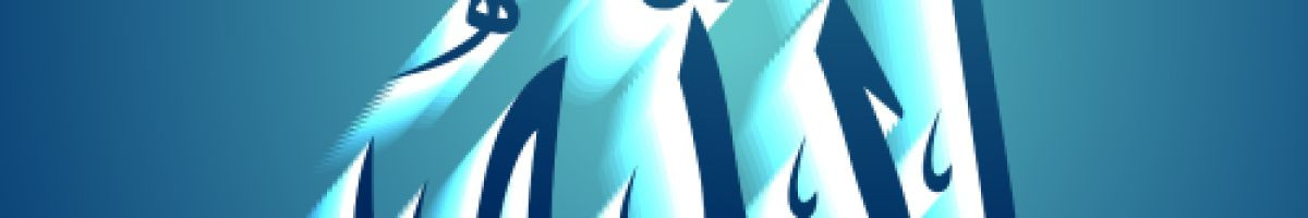 114980238887757137645 