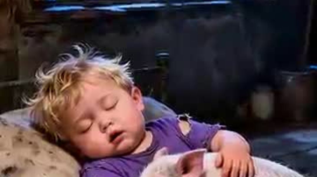 ⁣small horse and rio hearttouching story🦌#shorts #baby