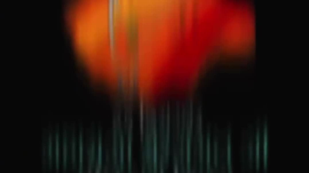 VID_20251224_201459_216