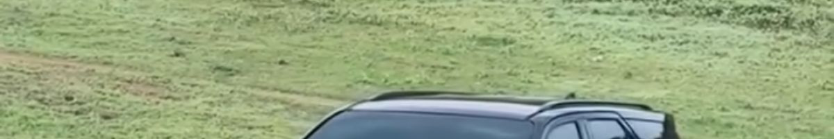 103599724767806849467 