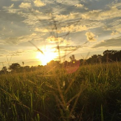 116073571800312329697 