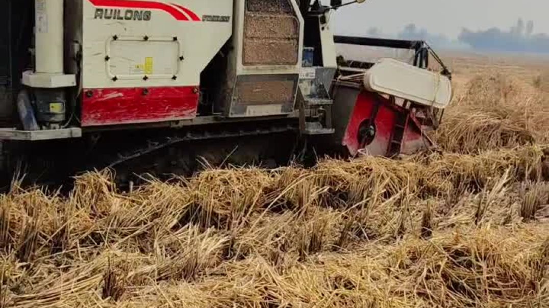 ⁣ये हैं चैन वाली मशीन जिससे हम धान काटते है
