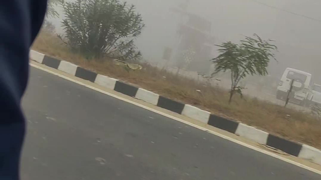 VID_20251217_190853_010