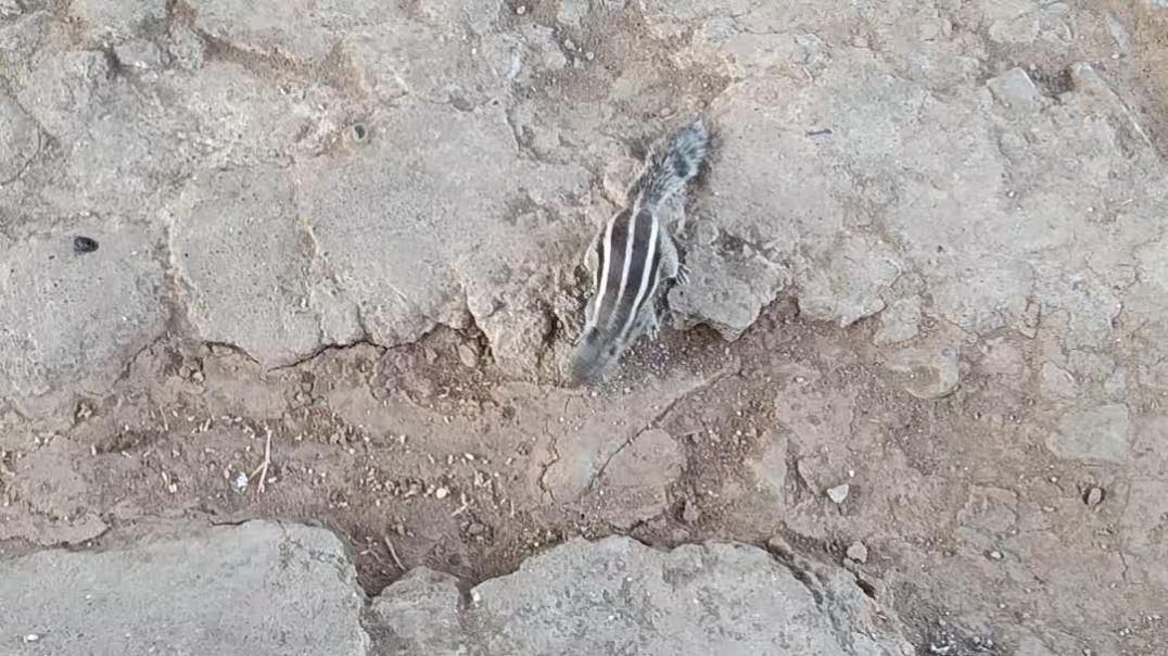 ⁣Video, comedy video