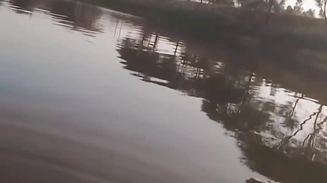 VID_20250421_195525_554