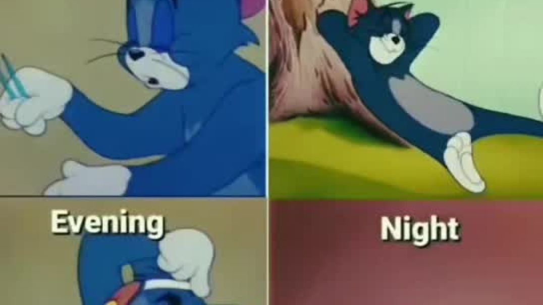 ⁣My life now a days